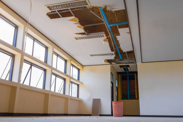 Best 24/7 water damage repair  in Ambler, PA