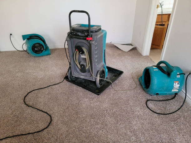 Best Local water damage restoration  in Ambler, PA