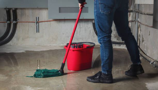 Best Basement water damage restoration  in Ambler, PA