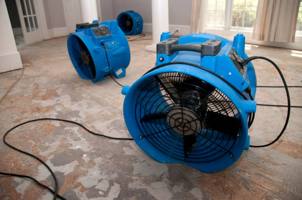 Best Water damage contractors near me  in Ambler, PA