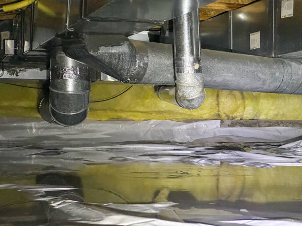 Best Water damage restoration cost  in Ambler, PA