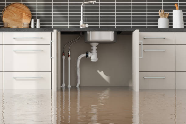 Best Ceiling water damage repair  in Ambler, PA