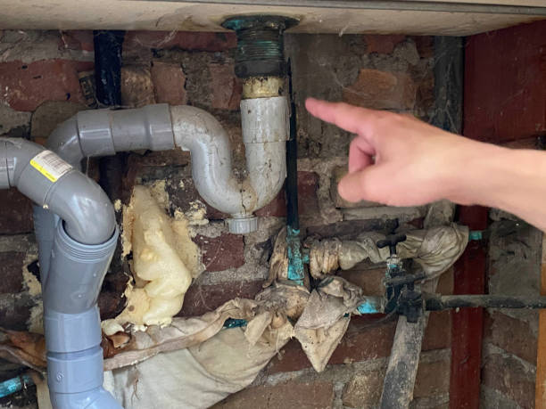 Best Flood restoration services  in Ambler, PA